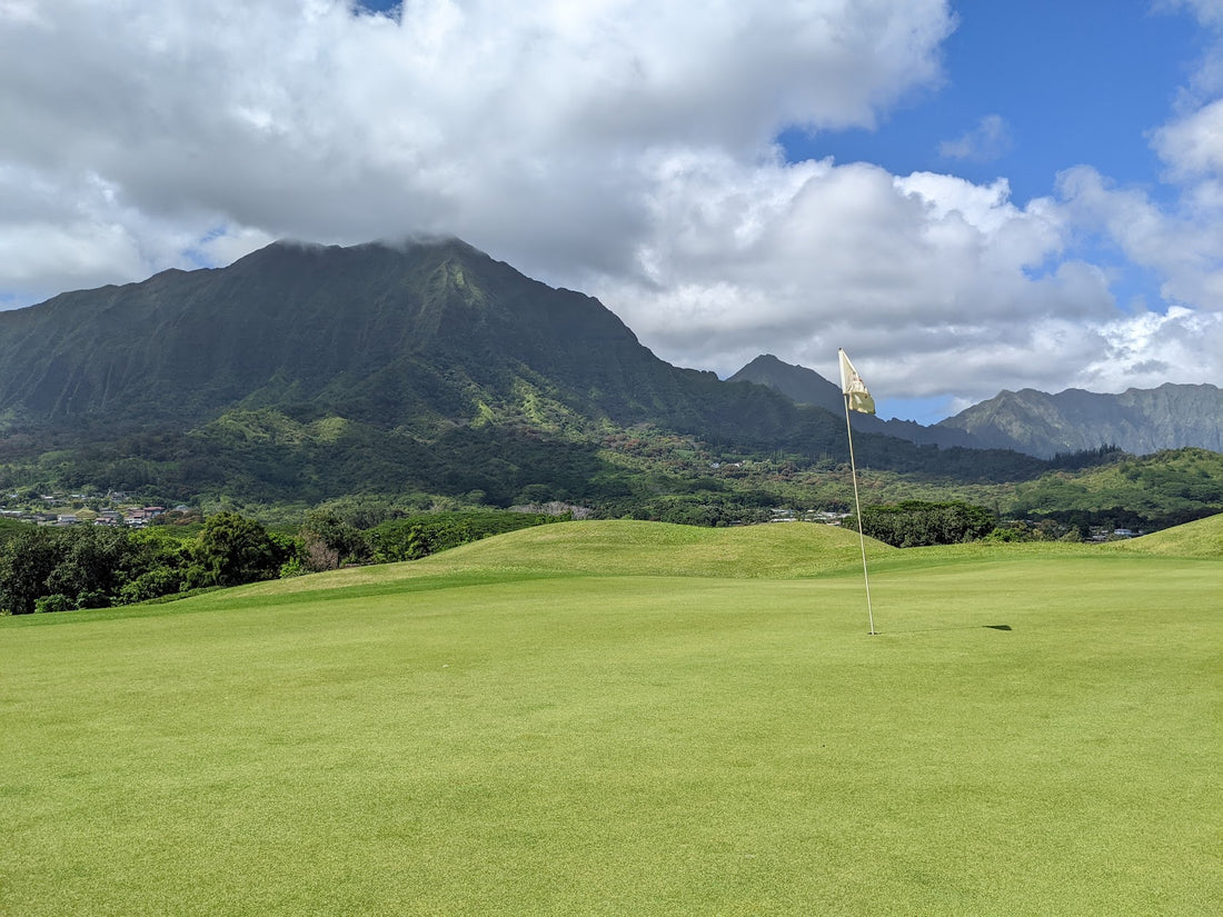 Swinging into Growth: The Rising Popularity of Golf in Utah